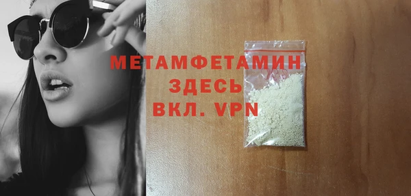 прущие грибы Рославль