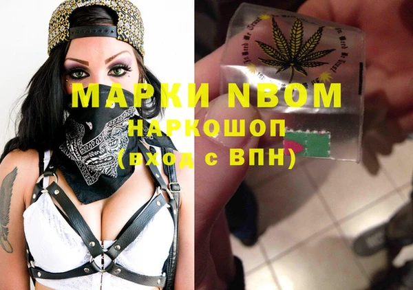 прущие грибы Рославль