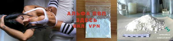 прущие грибы Рославль