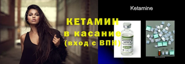 прущие грибы Рославль