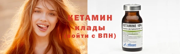 прущие грибы Рославль