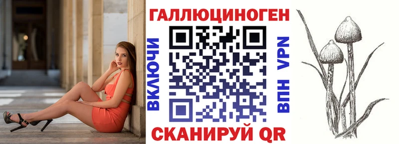 где купить наркоту  Ковдор  МЕГА ссылки  Псилоцибиновые грибы Psilocybe 